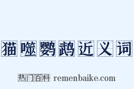 猫噬鹦鹉近义词是什么意思的图片